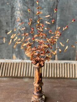 Fitful Blooms, Earth, 26"