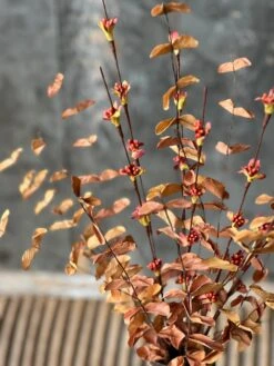 Fitful Blooms, Earth, 26" -Home Decor Sale Store YL912493