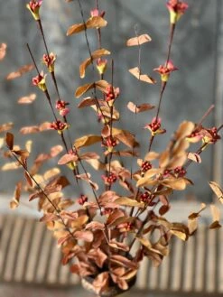 Fitful Blooms, Earth, 26" -Home Decor Sale Store YL912494