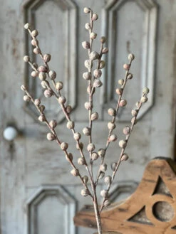 Shawl Buds Stem, Flush, 36"