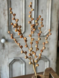 Shawl Buds Stem, Maize, 36" -Home Decor Sale Store YL912812 1024x1024 91ae1966 b16d 4333 a34a 6e5f30c53d13