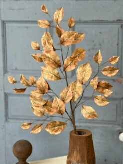 Spectator Stem, Spice, 35"