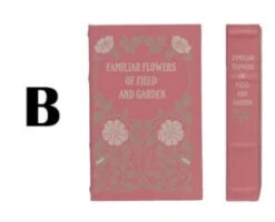 Book Storage Box, Multi Color, 3 Style & 2 Size Options -Home Decor Sale Store b 5b391be8 cf8e 42c3 a696 4936382cad54