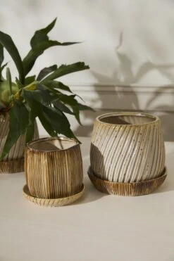 Carved-Look Ceramic Pot With Saucer, 2 Style Options