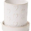 Heartfelt Pot With Saucer (Pick Up Only)