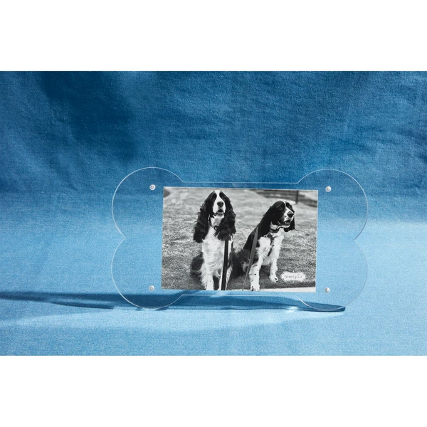 Dog Bone Shaped Acrylic Picture Frame By Mud Pie 1 Dog Bone Shaped Acrylic Picture Frame By Mud Pie